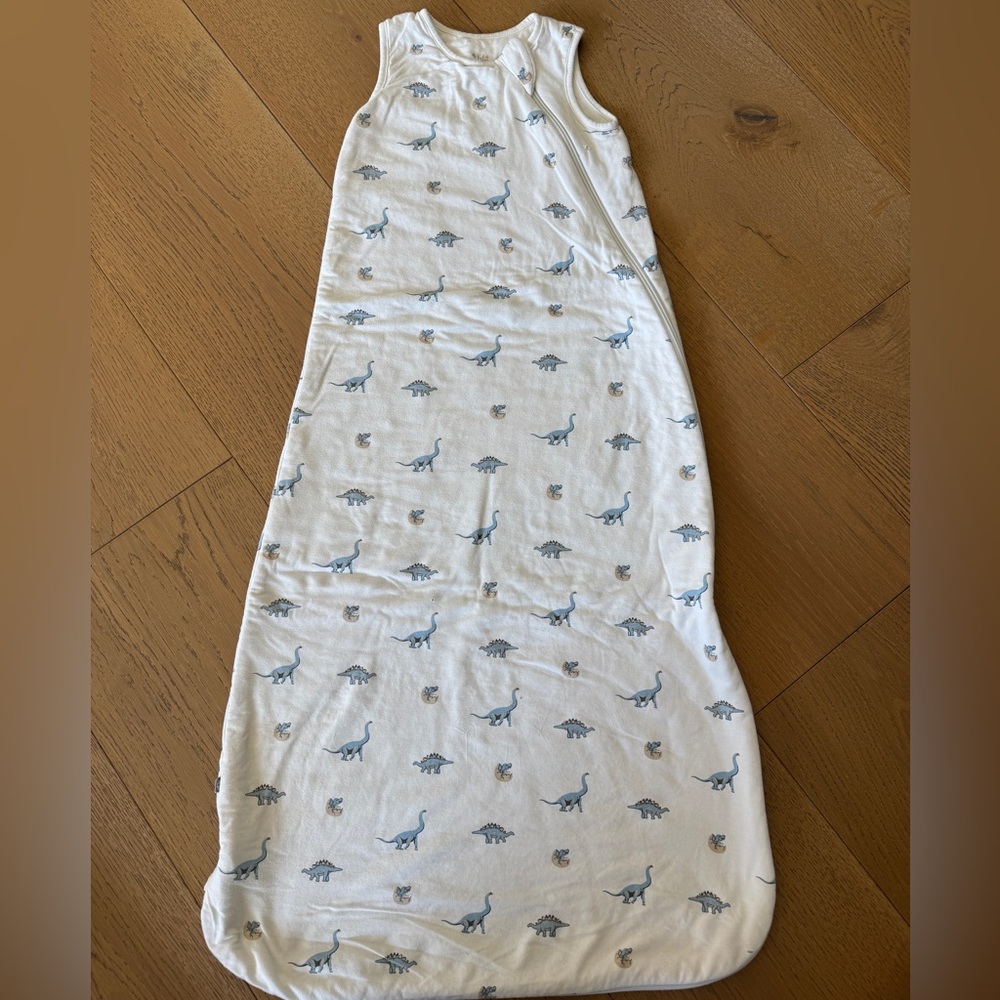 Kyte BABY White Sleep Sack with Dinosaur Print